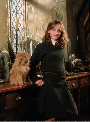 hermione